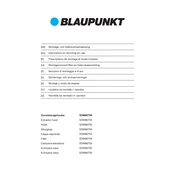 Blaupunkt 5DW66750 manual cover