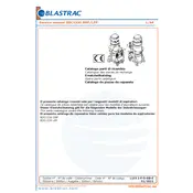 Blastrac BDC1330 DBP Dust Collector