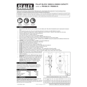 Sealey PB1000.V2 Pulley Block manual cover