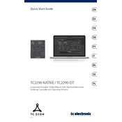 TC Electronic TC2290 NATIVE