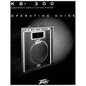 Peavey KB 300 Amplifier manual cover