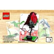 LEGO 21301-1 Construction Set manual cover