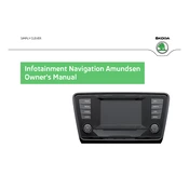 Škoda Octavia Infotainment Navigation Amundsen 2013 Car manual cover