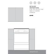 Gorenje EC6451WPB Cooker manual cover