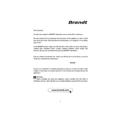 Brandt DFH1030E Dishwasher manual cover