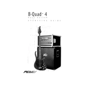 Peavey B-Quad 4 Guitar manual cover