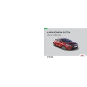 Kia Rio Car Multimedia System 2020 Hatchback