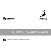 Horizon Fitness E1100GS GS1050E 2010 Elliptical manual cover