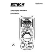 Flir Extech EX503 Multimeter manual cover