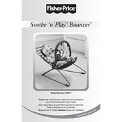 Fisher Price Mattel Soothe n Play B0771 Bouncer manual cover