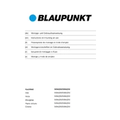 Blaupunkt 5II94290 manual cover