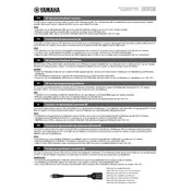 Yamaha 3D Surround Playback Function Firmware manual cover