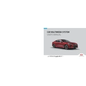 Kia Stinger Car Multimedia System 2019 Sedan