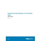 Dell PowerProtect 19.6 Data Manager
