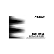 Peavey RSB Bass Guitar manual cover