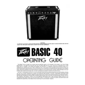 Peavey Basic 40 Amplifier manual cover