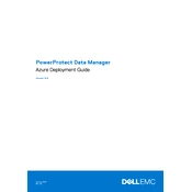 Dell PowerProtect 19.6 Data Manager