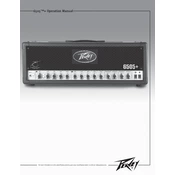 Peavey 6506 Plus Amplifier manual cover