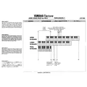 Yamaha AVP-006 Voice Pack manual cover