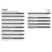 Yamaha A-S801 Amplifier