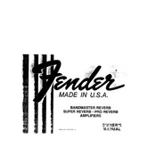 Fender Super Reverb 1976 Amplifier manual cover