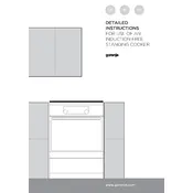 Gorenje EIT6451WPD Cooker manual cover