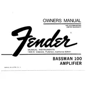 Fender Bassman 100 1972 Amplifier manual cover