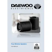 Daewoo True Wireless Speakers AVS1406 Speaker manual cover