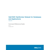 Dell NetWorker Database And Applications 19.2 Software manual cover