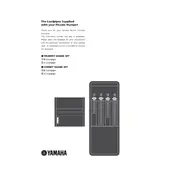 Yamaha Leadpipe Accessory manual cover