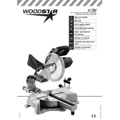 Woodstar SL 10D 3901202000 Saw manual cover