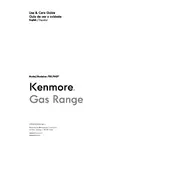 Kenmore 74452 790.7445 Range