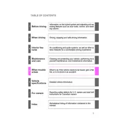 Toyota Camry HV 2010 Sedan