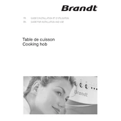 Brandt TG1000B Hob manual cover