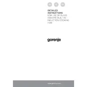 Gorenje IT640BCSC Hob manual cover