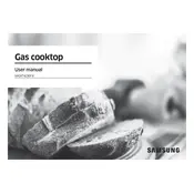 Samsung NA24T4230FS Cooktop