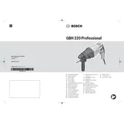 Bosch 0 611 2A6 061 Hammer