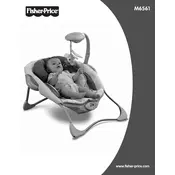 Fisher Price Mattel Baby Papasan M6561 Bouncer manual cover