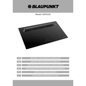 Blaupunkt 5IX94350 manual cover