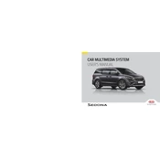 Kia Sedona Car Multimedia System 2019 Minivan