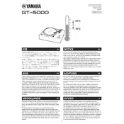 Yamaha GT-5000 Turntable