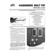 Peavey Vandenberg Quilt Top Guitar manual cover