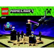 LEGO 21117 Construction Set manual cover