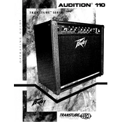 Peavey Audition 110 Transtube Series Speaker manual cover