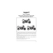 Triumph Daytona 675 ABS 2013 Motorcycle manual cover