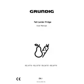 Grundig GSL1671G Refrigerator manual cover