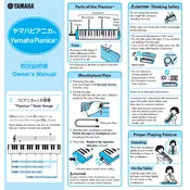 Yamaha P-25F Piano manual cover