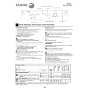 Fagor SFE-60 Dryer manual cover