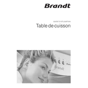 Brandt STE147X Hob manual cover