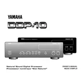 Yamaha DDP-10 Processor manual cover